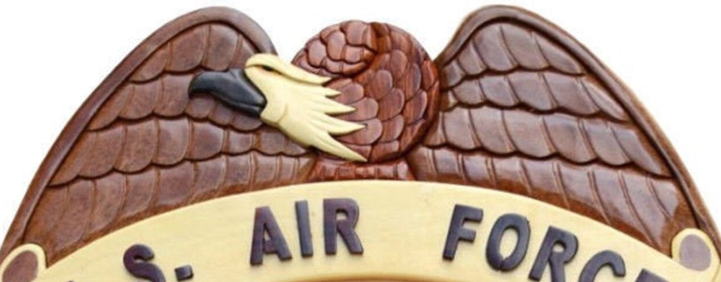 AIR FORCE DAF SECURITY FORCES POLICE BADGE