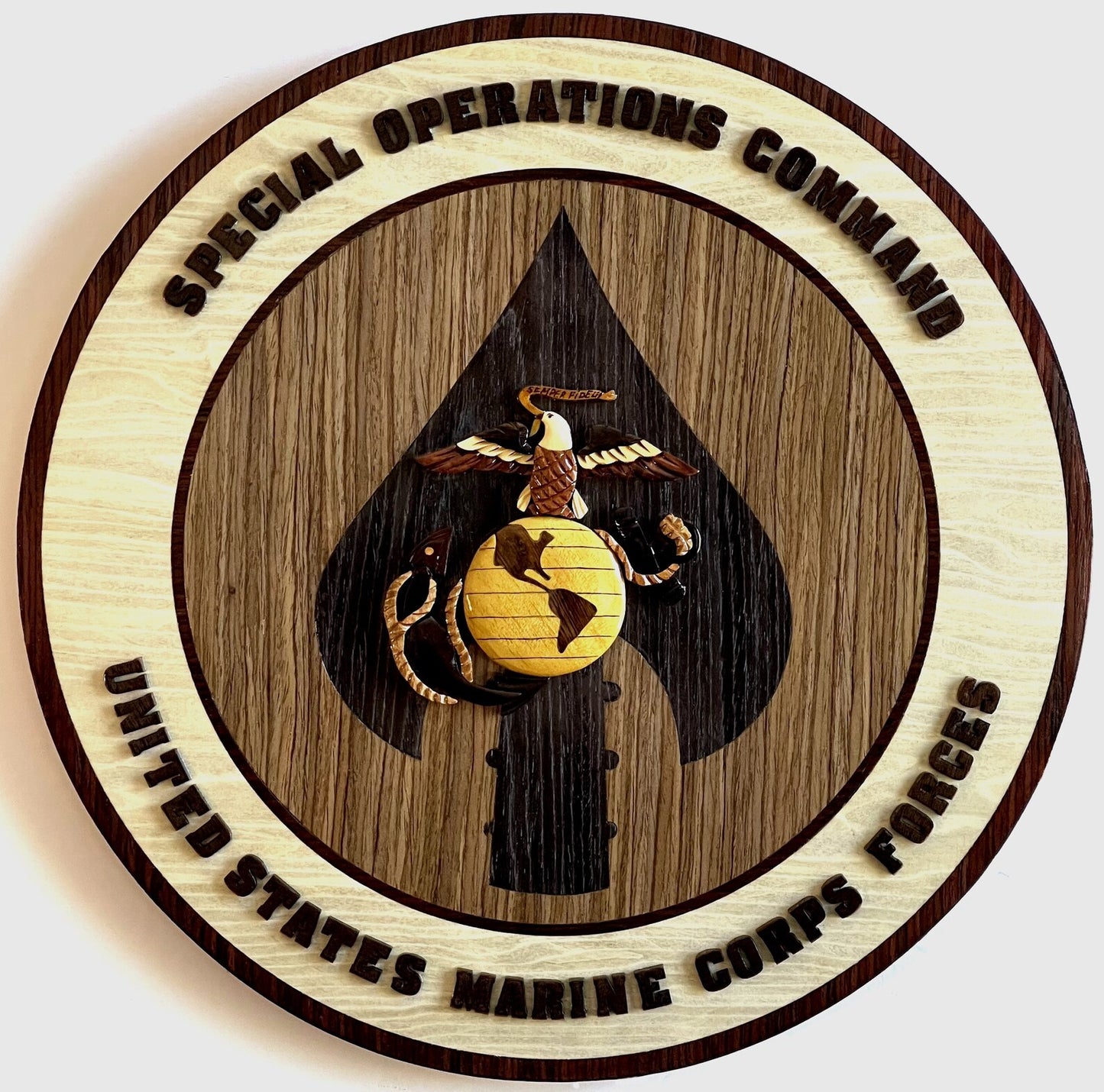 MARINE CORPS SPECIAL OPS COMMAND (MARSOC)